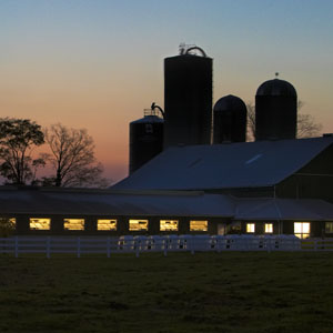 Barn silhouette